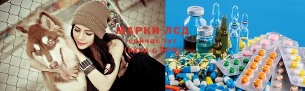 дживик Алзамай