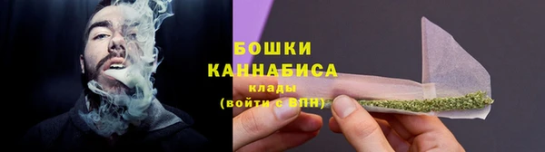 прущие грибы Армянск