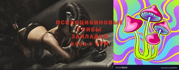 дживик Алзамай
